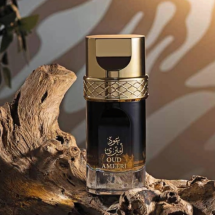 Oud Ameeri